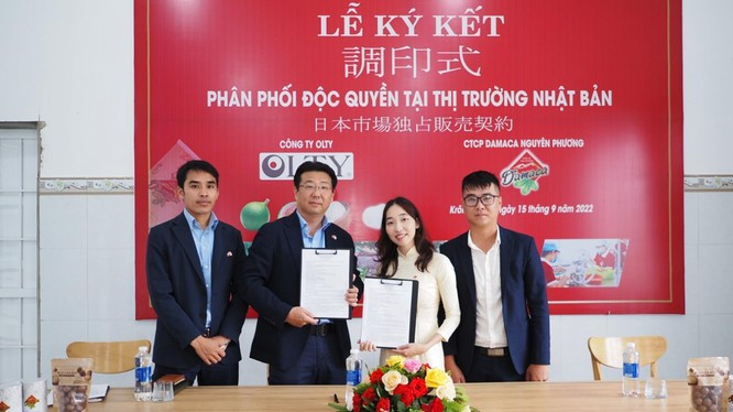 Ấn tượng cô chủ nhỏ vùng sâu và vị giáo sư tóc trắng Hoàng Hoè